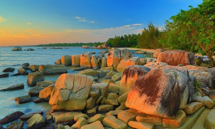 Coastal landscape